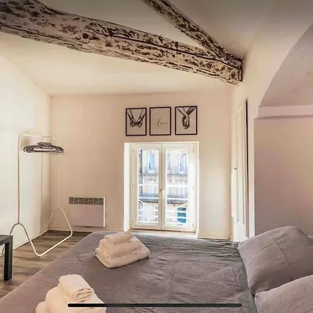 Cocooning, Climatisé, Au Cœur D’agen * Agen
