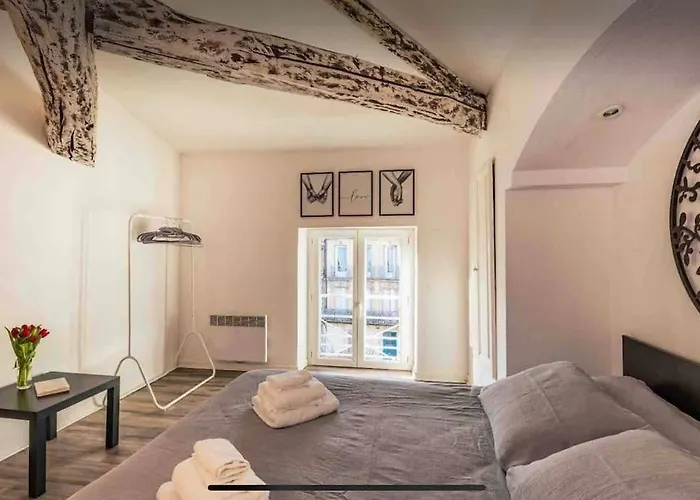 Cocooning, Climatisé, Au Cœur D’agen * Agen