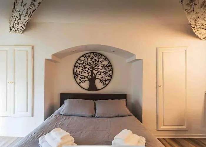 Apartamento Cocooning, Climatisé, Au Cœur D’agen Agen